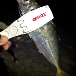 初釣りメバリング