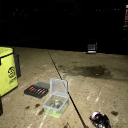 渋いけどヒイカまだ釣れます(^.^)