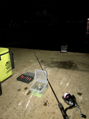 渋いけどヒイカまだ釣れます(^.^)