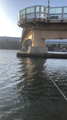 2021初フィッシュ!