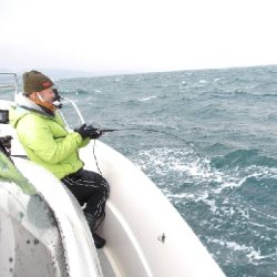 SOUTH(サウス)釣果