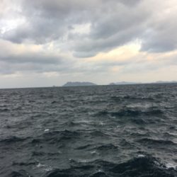 爆風の中、波をかぶりながらの鰤ならずヤズ祭り