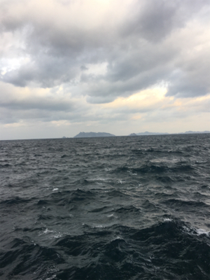 爆風の中、波をかぶりながらの鰤ならずヤズ祭り