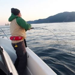 SOUTH(サウス)釣果