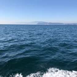 天気はいいのにょ