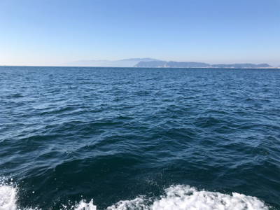 天気はいいのにょ