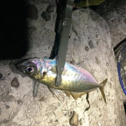 2021 やっと釣り初め