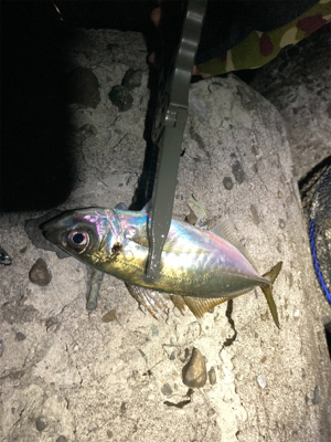 2021 やっと釣り初め