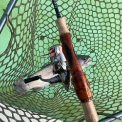 エリアトラウト