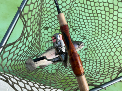 エリアトラウト