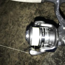 良型キビレ連発