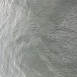 濁りがひどい中…