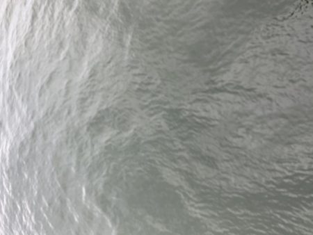 濁りがひどい中…