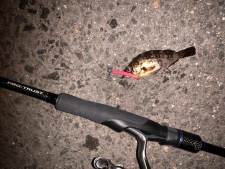 ガシリング！！