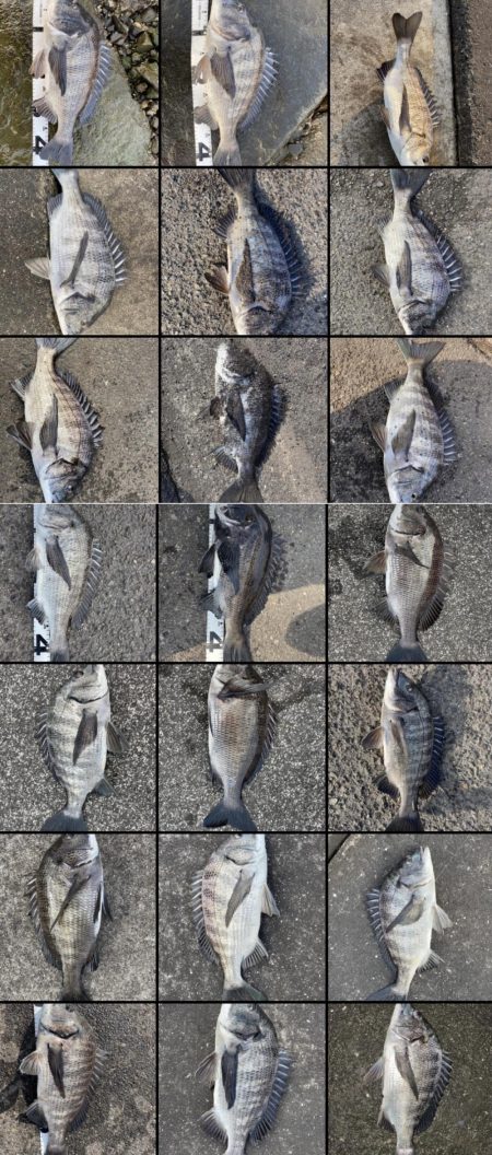 イチノ兄弟、釣果!