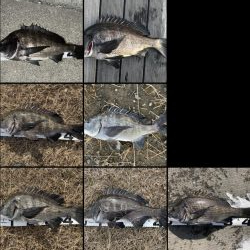 イチノ兄弟、釣果！