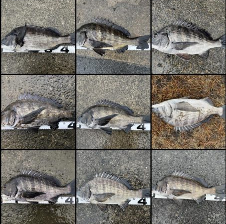 イチノ兄弟、釣果!