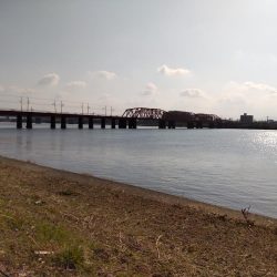 フラットフィッシュゲームNo.7？