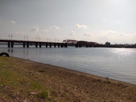 フラットフィッシュゲームNo.7？