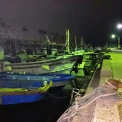 冬の根魚調査９