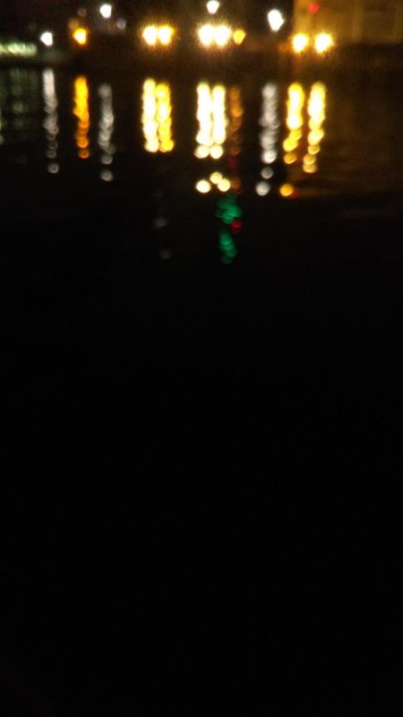 ぶらシーバス!!