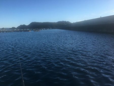 アジ爆釣り160匹、シマアジ3匹、アイゴ4匹、メッキ1匹