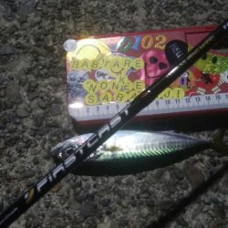 釣りデビュー 39日目