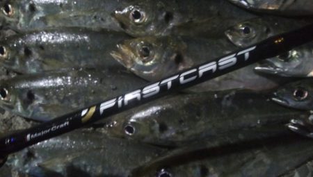 釣りデビュー　43日目