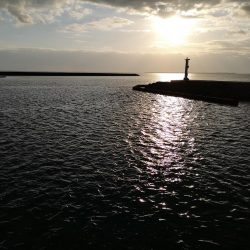 沖縄でも寒いです