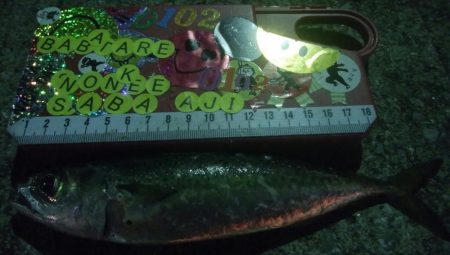 釣りデビュー 46日目