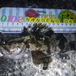 釣りデビュー　59日目