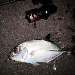 夫婦でナイター