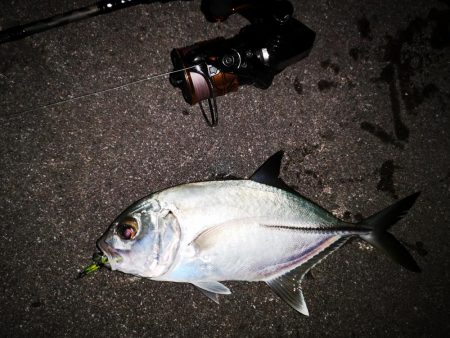 夫婦でナイター