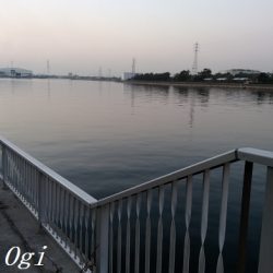 厳寒期でもアナゴはボーズ無し