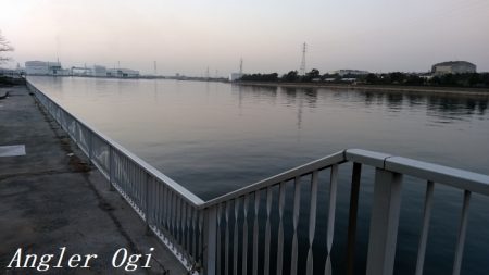 厳寒期でもアナゴはボーズ無し