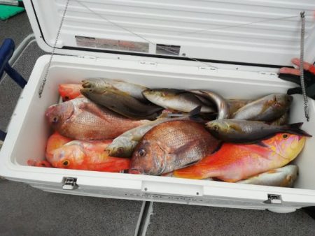 第二大福丸 釣果