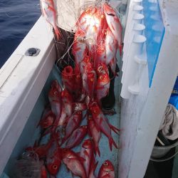 結愛丸 釣果