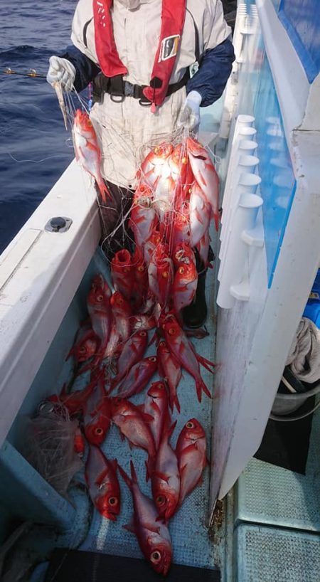結愛丸 釣果