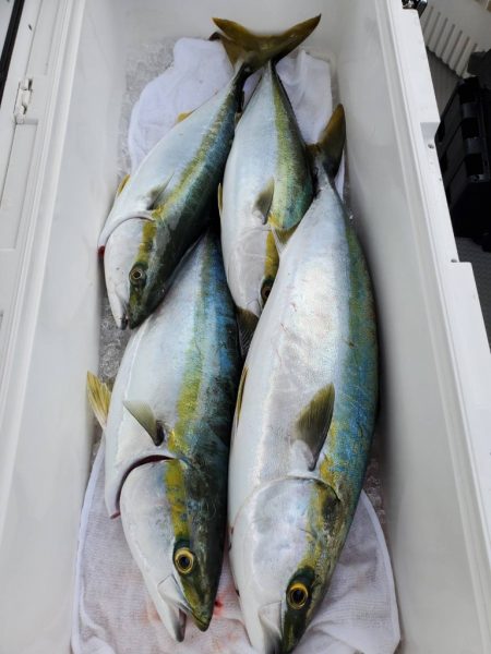 武士(SAMURAI) 釣果