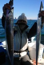 KONAYAーMARU(こなや丸) 釣果