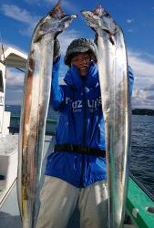 KONAYAーMARU(こなや丸) 釣果