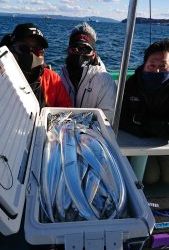 KONAYAーMARU(こなや丸) 釣果