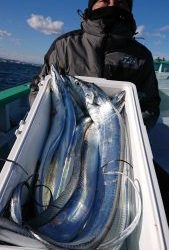 KONAYAーMARU(こなや丸) 釣果