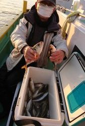 KONAYAーMARU(こなや丸) 釣果