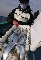 KONAYAーMARU(こなや丸) 釣果