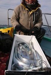 KONAYAーMARU(こなや丸) 釣果