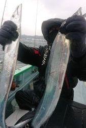 KONAYAーMARU(こなや丸) 釣果