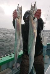 KONAYAーMARU(こなや丸) 釣果