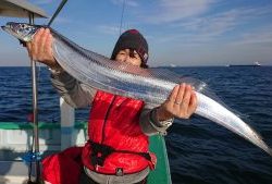 KONAYAーMARU(こなや丸) 釣果