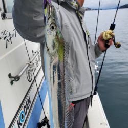 武士(SAMURAI) 釣果